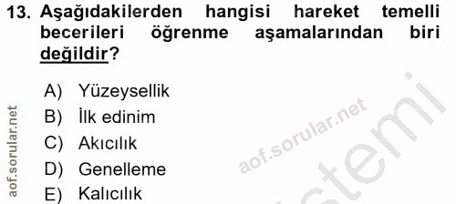 Soru 13