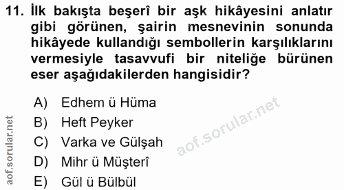Soru 11