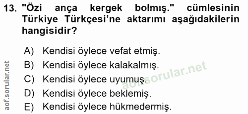 Soru 13