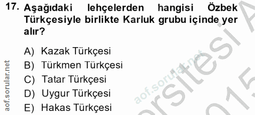 Soru 17