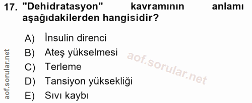 Soru 17