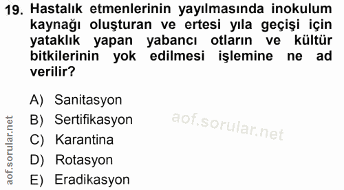 Soru 19