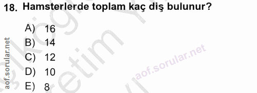 Soru 18