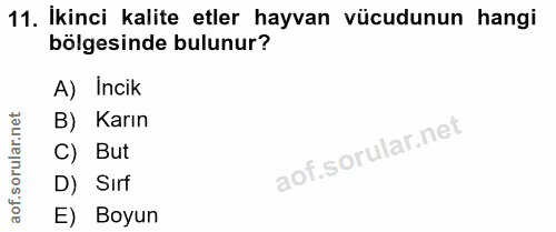 Soru 11