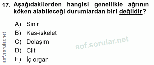 Soru 17