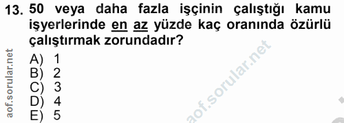 Soru 13