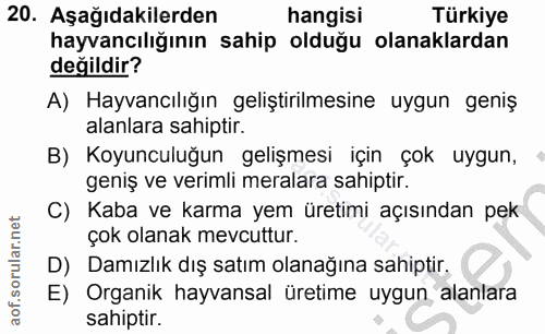 Soru 20