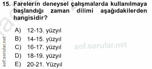 Soru 15