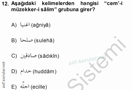Soru 12