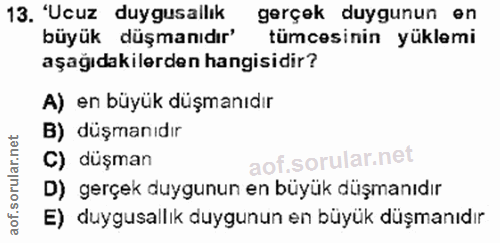 Soru 13