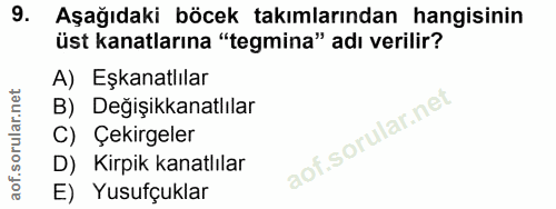 Soru 9