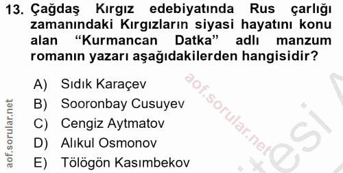 Soru 13