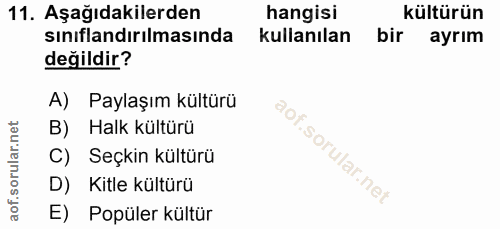 Soru 11