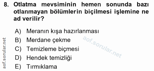 Soru 8