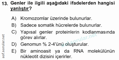 Soru 13