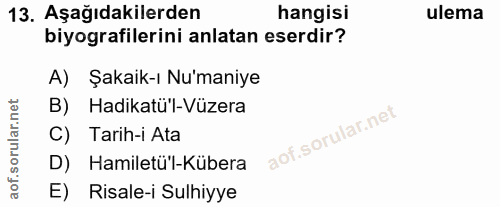 Soru 13