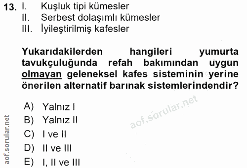 Soru 13