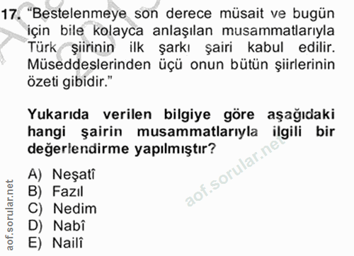Soru 17