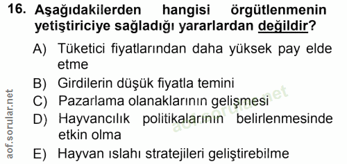 Soru 16
