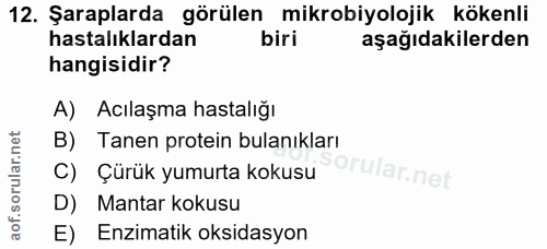 Soru 12