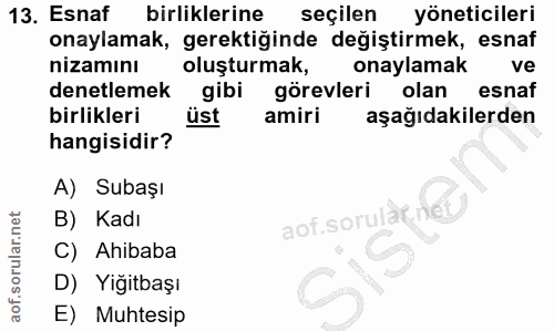 Soru 13