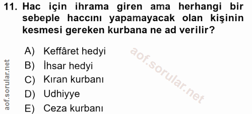 Soru 11