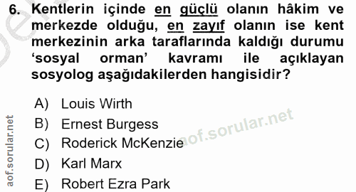 Soru 6