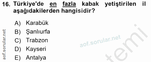 Soru 16