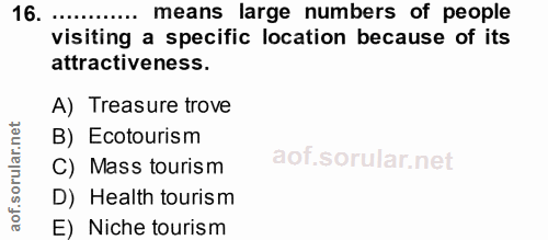 Soru 16