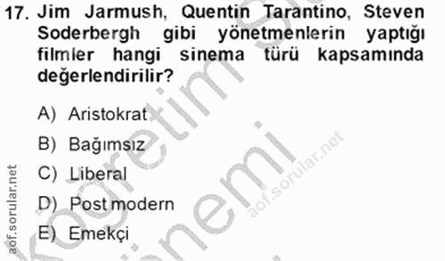 Soru 17