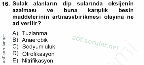 Soru 16
