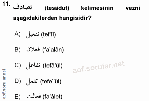 Soru 11
