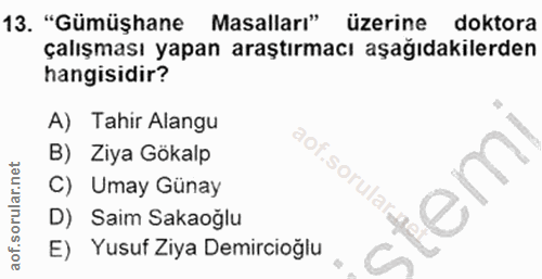 Soru 13