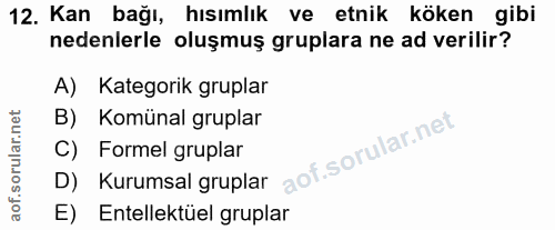 Soru 12