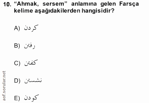 Soru 10