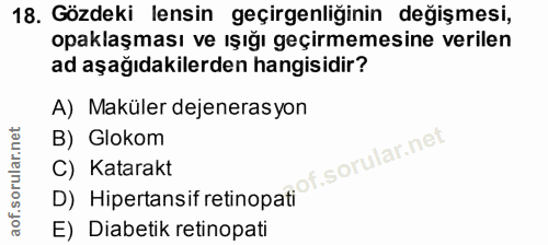 Soru 18