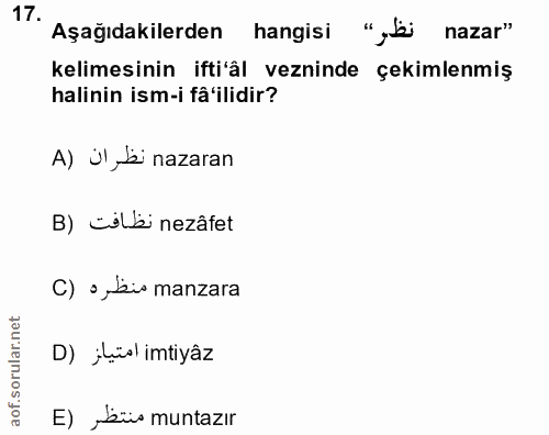 Soru 17