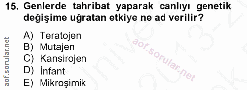 Soru 15