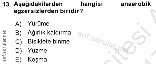 Soru 13
