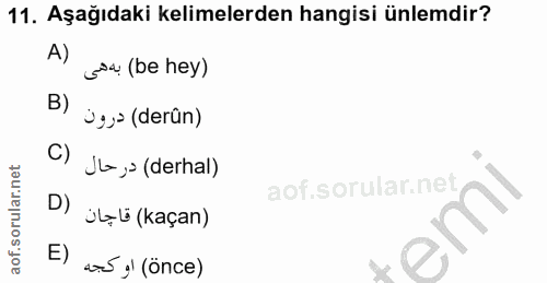 Soru 11