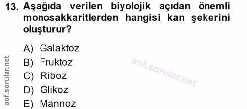 Soru 13