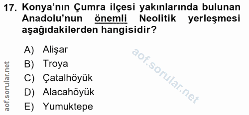 Soru 17
