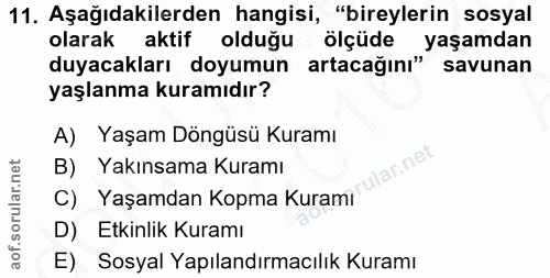 Soru 11