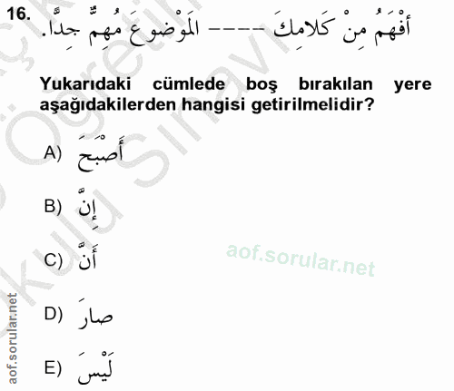 Soru 16