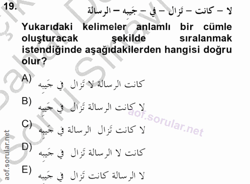 Soru 19