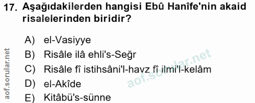 Soru 17