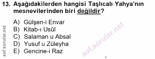 Soru 13
