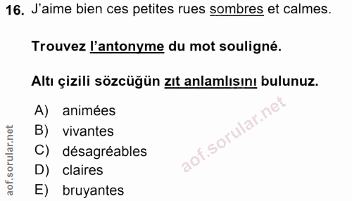 Soru 16