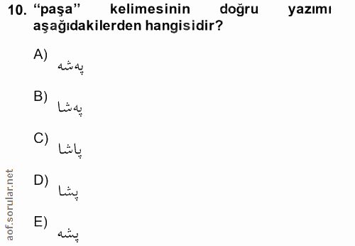 Soru 10