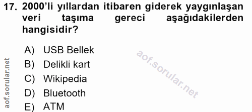 Soru 17